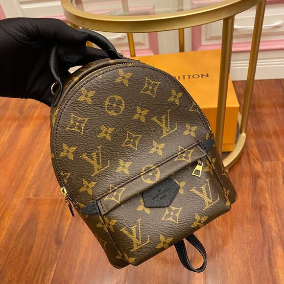 Louis Vuitton Palm Sprinss Mini Backpack - Picture 1 of 7